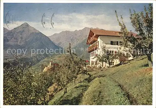 Schenna Meran Pension Hohenwart Kat. Italien