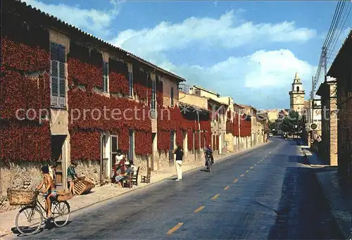 Mallorca Santa Maria Strassenpartie Kat. Spanien