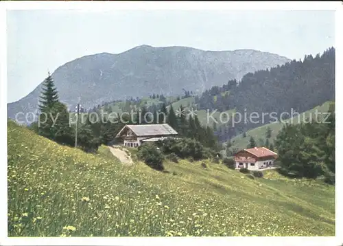 Partnachalm mit Wank Alpenwiese Kat. Garmisch Partenkirchen
