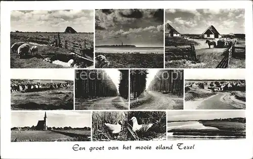 Texel Strand Kirche Landschaft Wald Duenen Kat. Niederlande