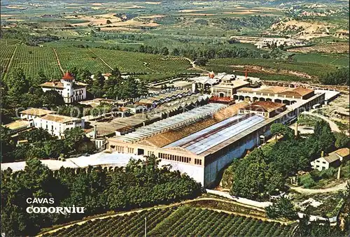 Cavas Codorniu Vue aerienne