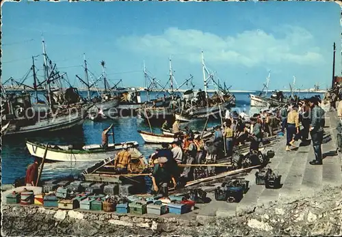 Figueira da Foz Cena tipica no mercado do peixe Kat. Portugal