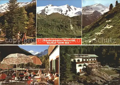 Martelltal Gasthof Zum See Wanderparadies Alpen Schafe Kat. Vinschgau Bozen Suedtirol