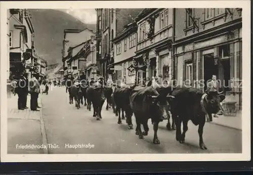 Friedrichsroda Hauptstrasse mit Kuhherde Kat. Friedrichsroda