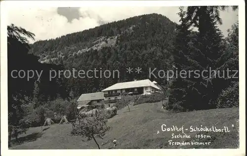 St Radegund Gasthof Schoecklbartl Kat. Oesterreich