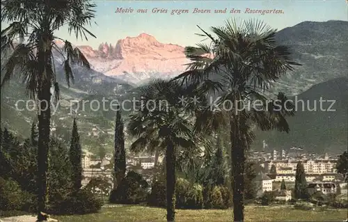 Gries Quirein Bozen mit Rosengarten / Bozen /Trentino Suedtirol