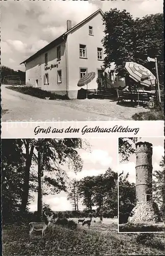 Seebach Kirn Gasthaus Alteburg Trifthuette mit Altenburgturm