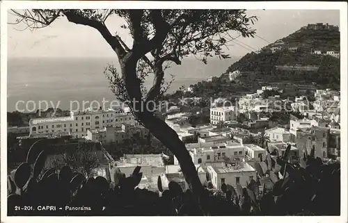 Capri  Kat. Golfo di Napoli