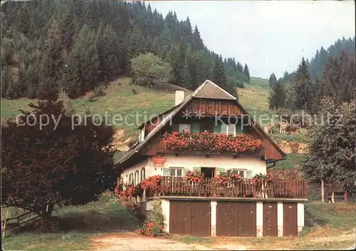 Hinterglemm Saalbach Wieseralm Kat. Oesterreich