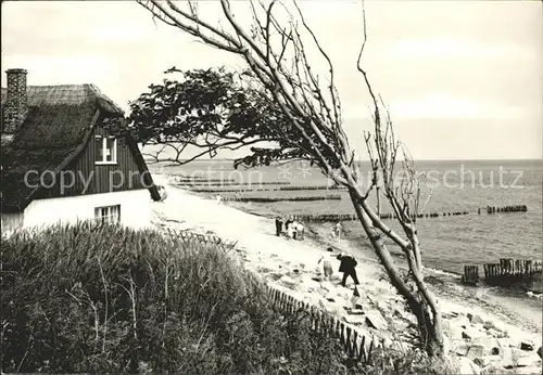 Ahrenshoop Ostseebad Duenenhaus