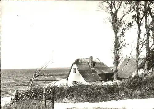 Ahrenshoop Ostseebad Haeuser am Steilufer