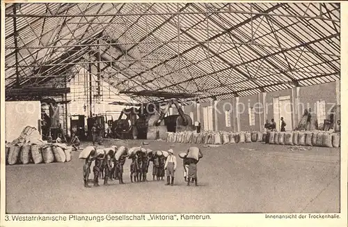 Kamerun Afrika Innenansicht der Trockenhalle der Westafrik Pflanzungsgesellschaft Viktoria Kat. Afrika