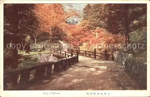 Shibukawa View of Haruna
