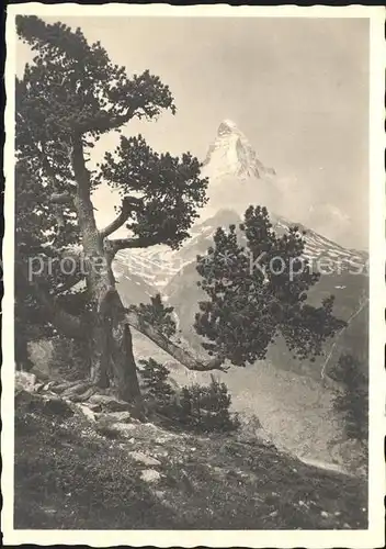 Matterhorn VS Gebirgspanorama Kat. Matterhorn