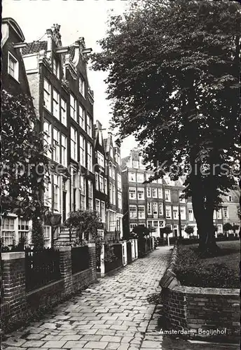 Amsterdam Niederlande Begijnhof Kat. Amsterdam