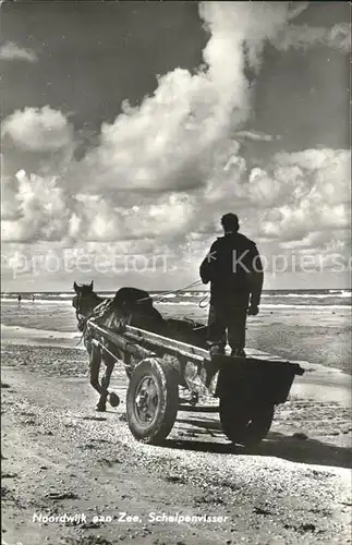 Noordwijk aan Zee  Schelpenvisser Kat. Noordwijk