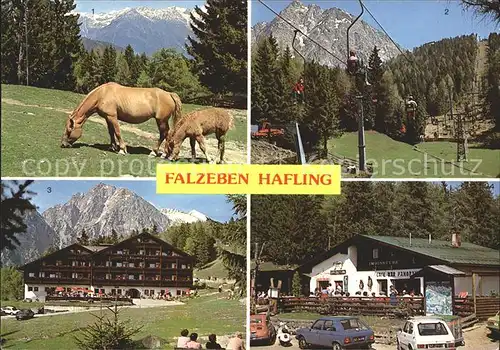 Falzeben Haflinger Sessellift Cafe Panorama Kat. Hafling Bozen Suedtirol