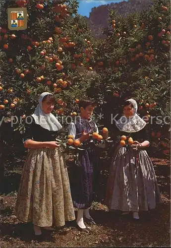 Mallorca Orangenbaeume Kat. Spanien