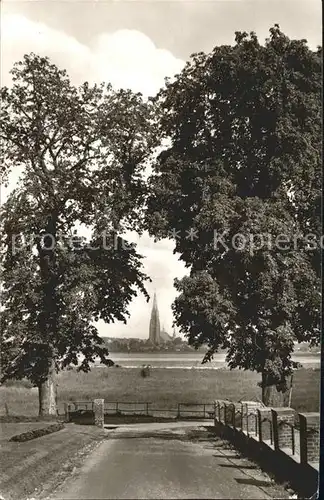 Schleswig Schlei Dom Kat. Erfde