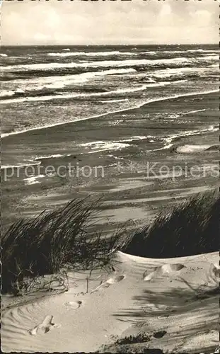 Insel Juist Bewegte See Duenen Kat. Norderney