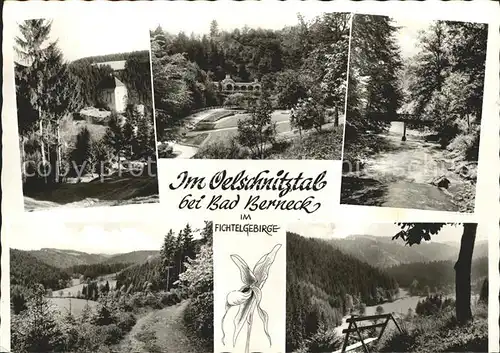 Bad Berneck Teilansichten Kurpark Bruecke Kat. Bad Berneck Fichtelgebirge