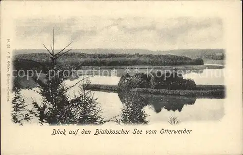 Posen Poznan Blick auf den Bialokoscher See vom Otterwerder / Poznan /