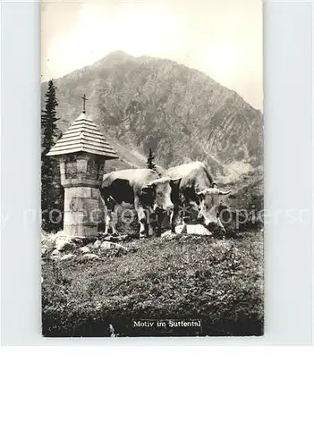 Sutten Motiv im Suttental Alm Kuehe Kat. Rottach Egern