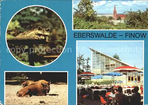Finow Eberswalde Tierpark Waschbaer Bueffel Kirche Restaurant