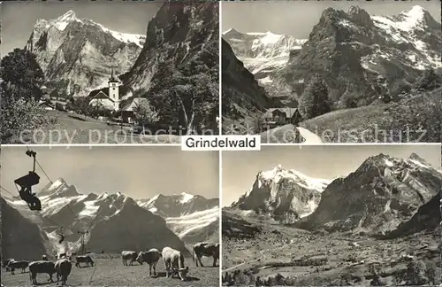 Grindelwald Sessellift Rinder Kat. Grindelwald