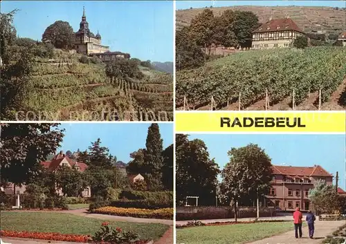 Radebeul Spitzhaus Heimatmuseum Kat. Radebeul