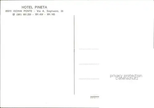 Ischia Ponte Hotel Pineta Pool