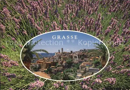 Grasse Alpes Maritimes Capitale des fleurs et des parfums Kat. Grasse
