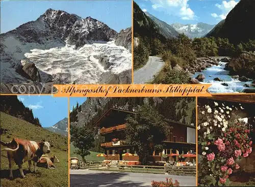 Mayrhofen Zillertal Alpengasthof Lacknerbrunn im Stillupptal Teilansichten Kat. Mayrhofen