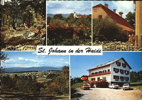 St Johann Haide Waldpartie Kirche Pfarrhof mit Stoerchen Gesamtansicht Hacklhof Kat. St Johann in der Haide Steiermark
