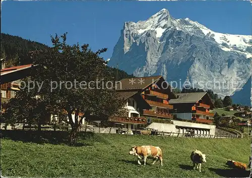 Grindelwald Wetterhorn Kat. Grindelwald