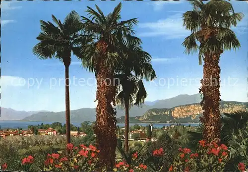 Bardolino Lago di Garda Gesamtansicht