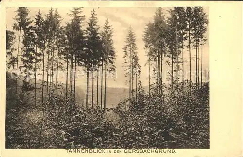 Elgershausen Waldhof Tannenblick in den Gersbachgrund Kat. Greifenstein