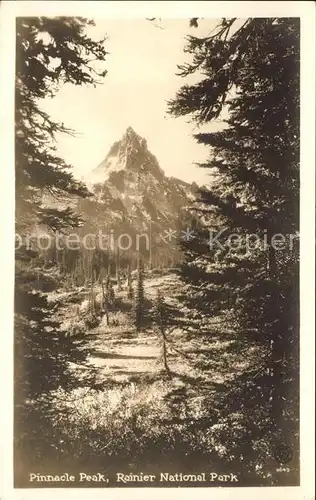 Rainier National Park Pinnacle Peak Kat. Ashford