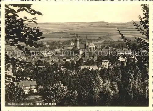 Heiligenstadt Eichsfeld Panorama Blick vom Iberg Kat. Heiligenstadt