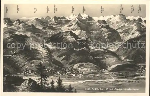 Aigle VD Bex et les Alpes vaudoises Alpenpanorama Kat. Aigle