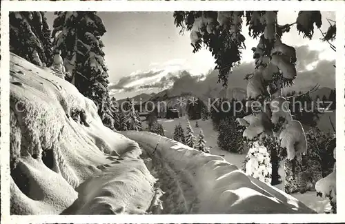 Crans sur Sierre Chemin du Pas de l Ours Winterpanorama Kat. Crans Montana