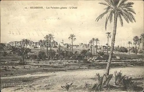 Medenine Djeffera Les Palmiers geants l Oued Kat. Tunesien