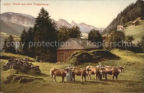 Toggenburg Alm Kuehe Landschaft Appenzeller Alpen Kat. Wildhaus