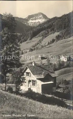 Steintal mit Speer Appenzeller Alpen Kat. Ebnat Kappel