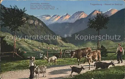 Toggenburg Abend im Gebirge Viehtrieb Kuh Ziege Alpenblick Kat. Wildhaus