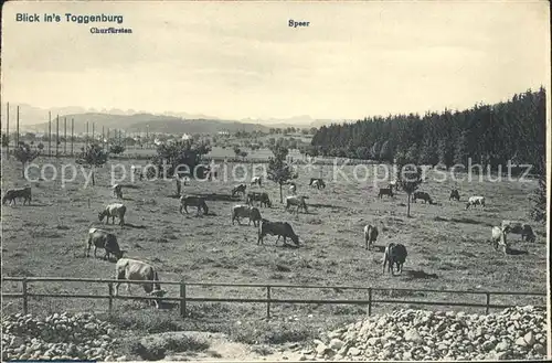 Toggenburg Landschaft Viehweide Kuehe Serie Dr. Buombergers Eisenbahn Panoramakarten Kat. Wildhaus