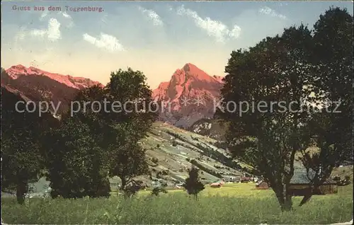 Toggenburg Landschaft Alpen Kat. Wildhaus