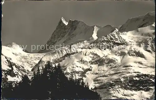 Grindelwald Finsteraarhorn Berner Alpen Kat. Grindelwald