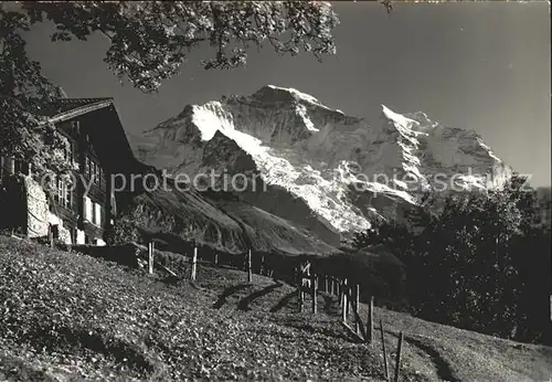 Wengen BE Blick gegen Jungfrau Berner Alpen Kat. Wengen