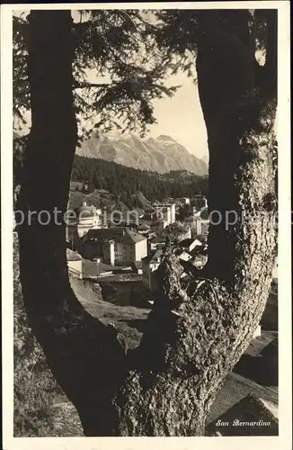 San Bernardino GR Durchblick Alter Baum Kat. Mesocco